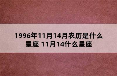 1996年11月14月农历是什么星座 11月14什么星座